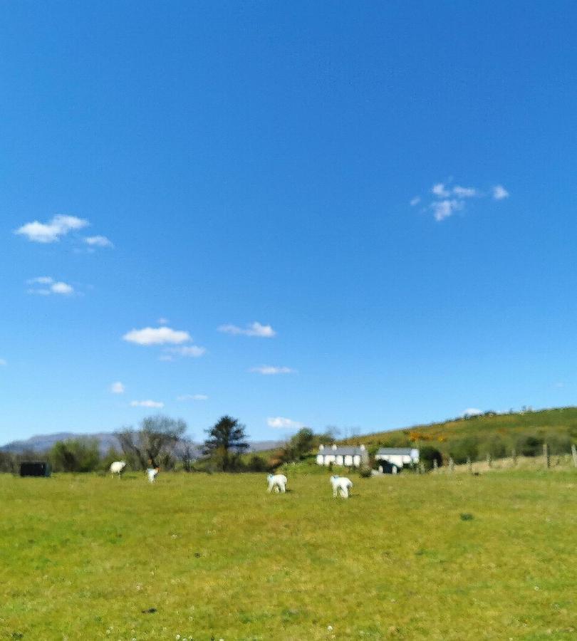 New Listing - Ladybird Cottage - Donegal - Wild Atlantic Way Donegal Town Ngoại thất bức ảnh