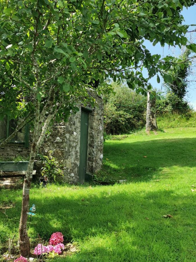 New Listing - Ladybird Cottage - Donegal - Wild Atlantic Way Donegal Town Ngoại thất bức ảnh