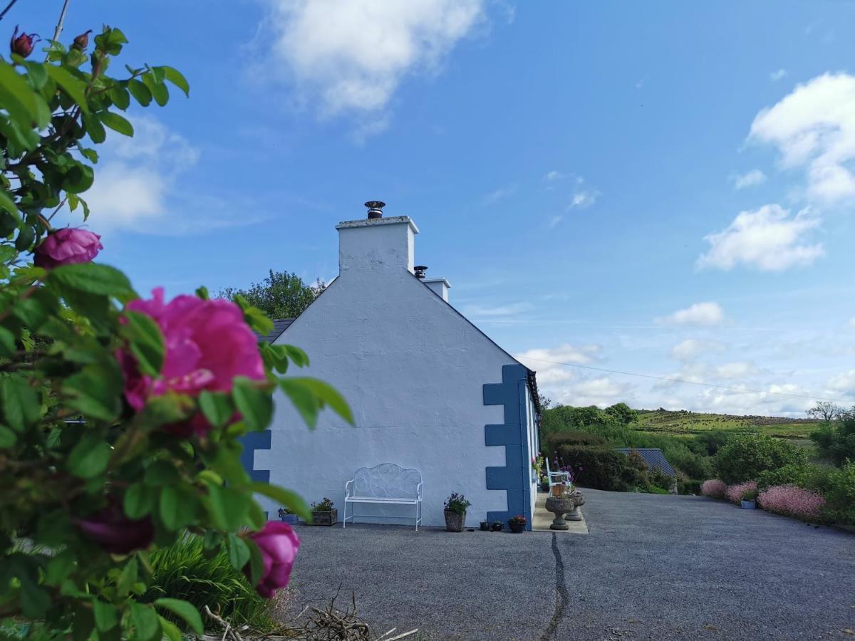 New Listing - Ladybird Cottage - Donegal - Wild Atlantic Way Donegal Town Ngoại thất bức ảnh
